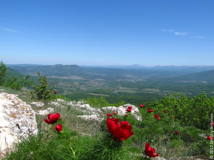 Поляна з panoramio.com - Поляна