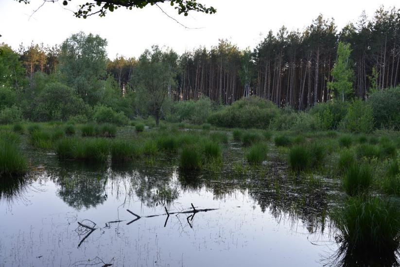 Корюківка з panoramio.com - Koryukivka