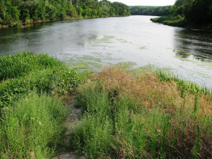Піщане з panoramio.com - Pischane