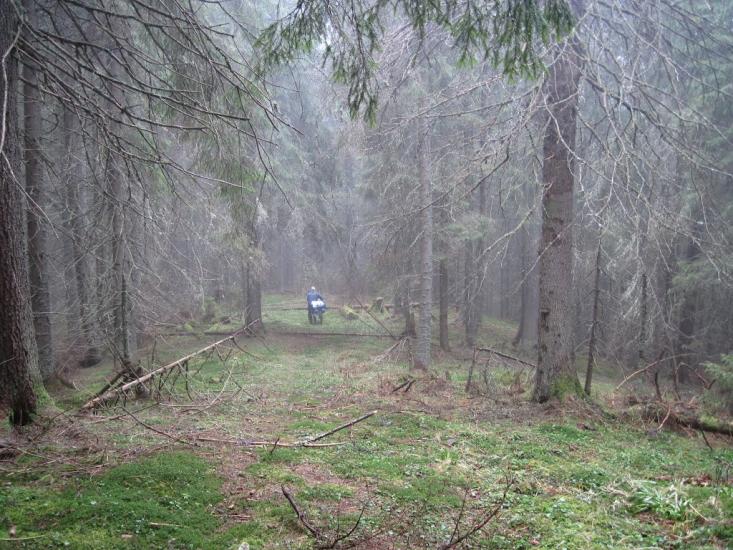 Пробійнівка з panoramio.com - Пробійнівка