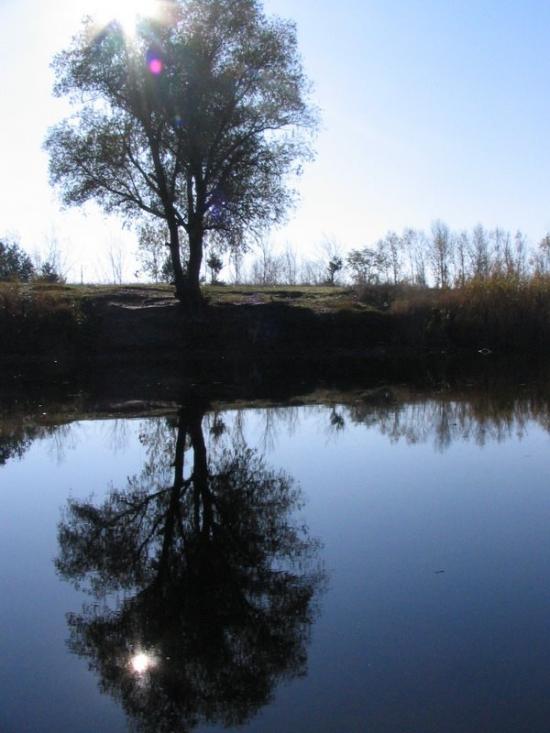 Гупалівка з panoramio.com - Гупалівка