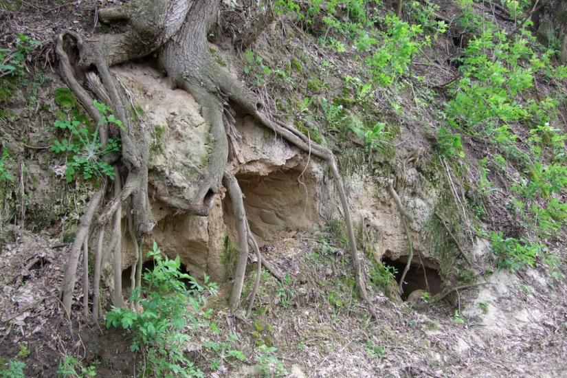 Балико-Щучинка з panoramio.com - Балыко-Щучинка