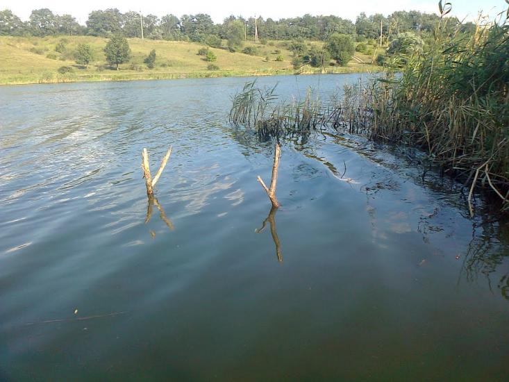 Раєво-Олександрівка з panoramio.com - Раєво-Олександрівка