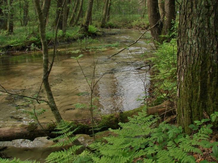 Дев'ятир з panoramio.com - Девятир