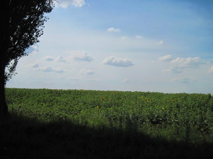 Буняківка з panoramio.com - Буняковка