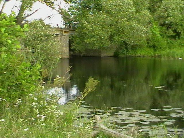 Медведівка з panoramio.com - Медведівка