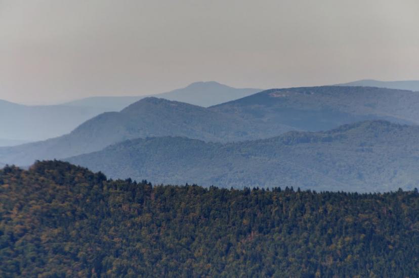 Розтока з panoramio.com - Ростока