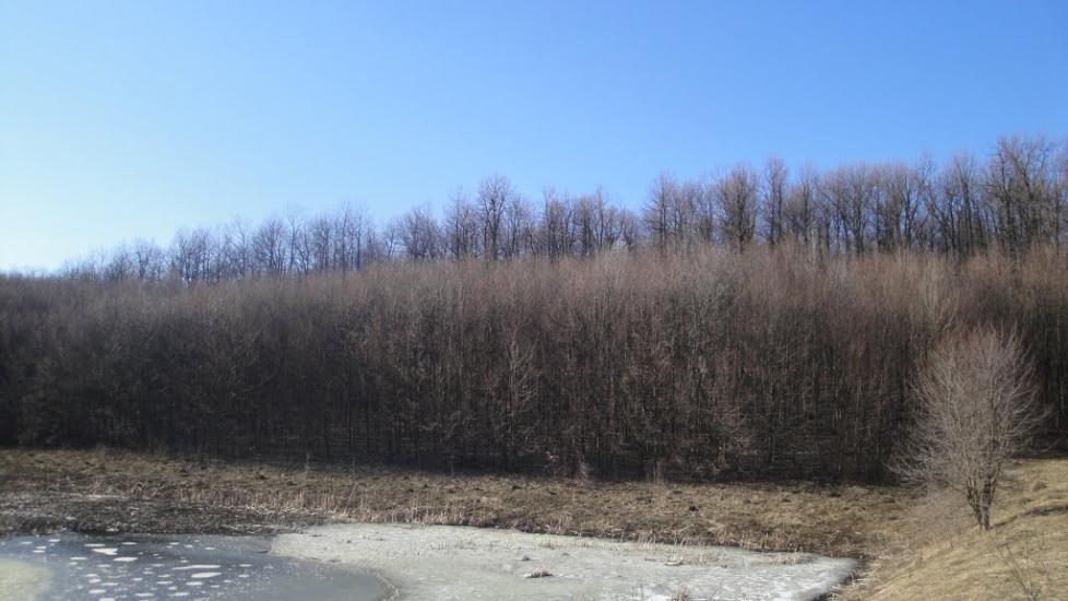 Вапнярка з panoramio.com - Вапнярка