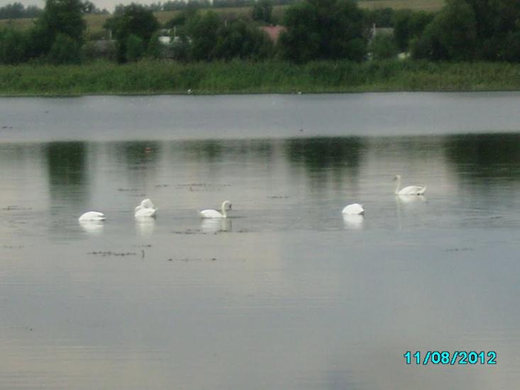 Летичів з panoramio.com - Летичев