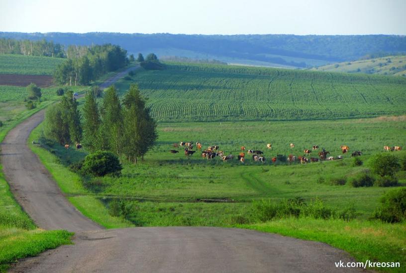 Марківка з panoramio.com - Марковка