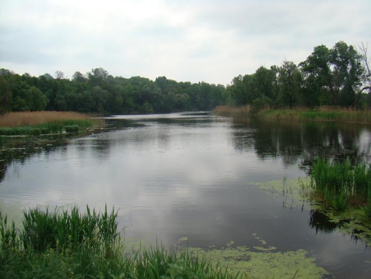 Кагарлик з panoramio.com - Кагарлик
