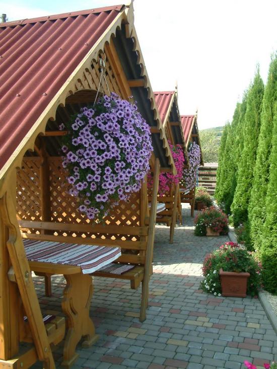 Мужієво з panoramio.com - Muzhiyevo