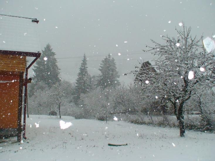 Погар з panoramio.com - Погар