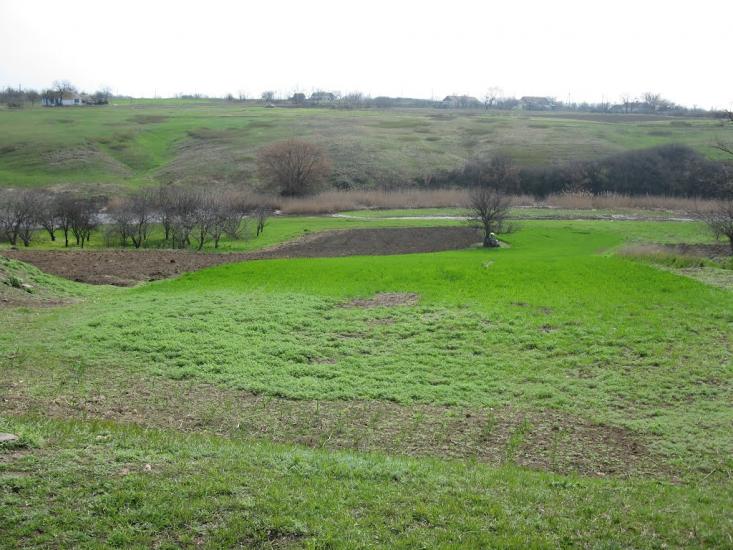 Захарівка з panoramio.com - Захаровка