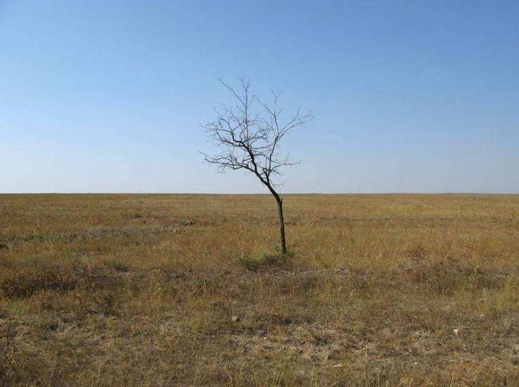 Медведеве з panoramio.com - Медведево