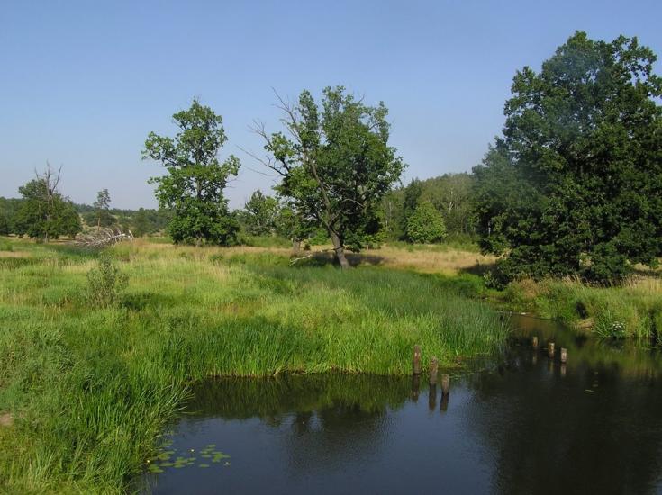 Струмок з panoramio.com - Струмок