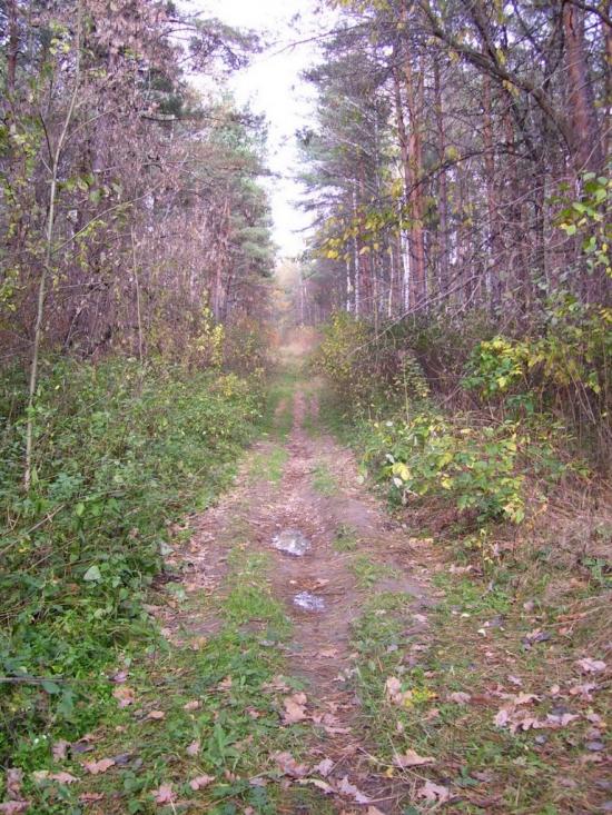 Буди з panoramio.com - Budy