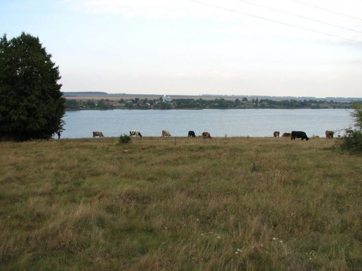 Головчинці з panoramio.com - Головчинцы