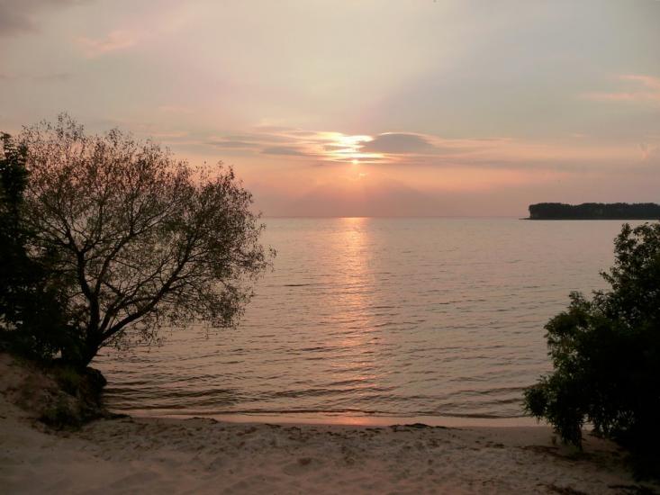 Ровжі з panoramio.com - Ровжи