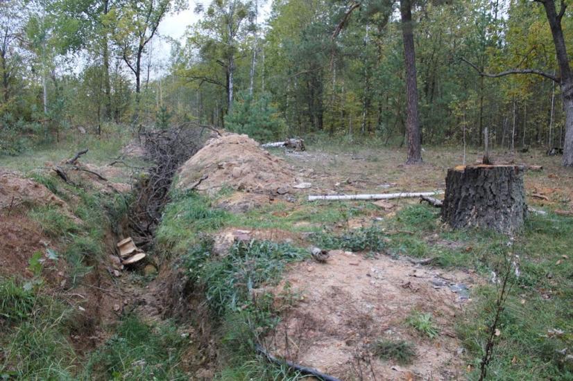 Топільня з panoramio.com - Топільня