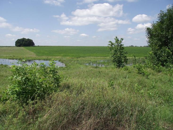 Розаліївка з panoramio.com - Розаліївка