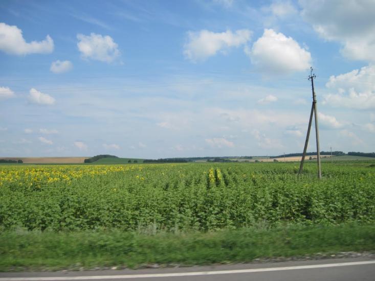 Пасічники з panoramio.com - Пасечники