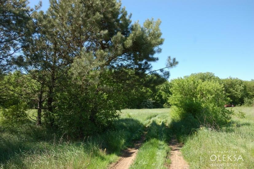 Долинне з panoramio.com - Долинне
