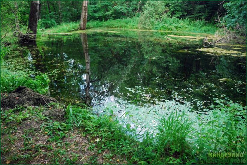 Глинське з panoramio.com - Глинське