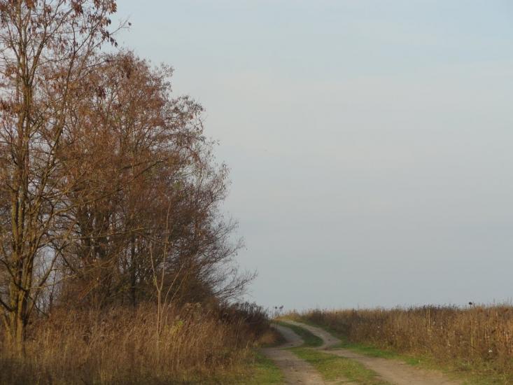 Звози з panoramio.com - Звозы