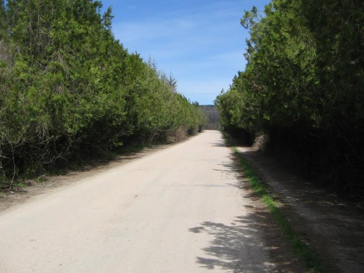 Дачне з panoramio.com - Дачное