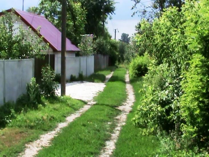 Войкове з panoramio.com - Войково