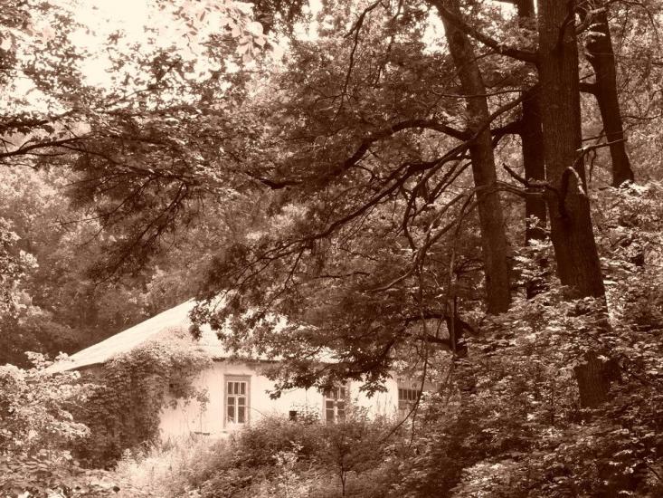 Коропове з panoramio.com - Коропово