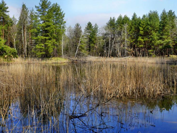 Шульгівка з panoramio.com - Шульговка