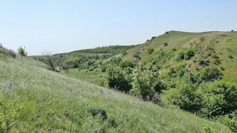 Русько-Орлівка з panoramio.com - Русско-Орловка
