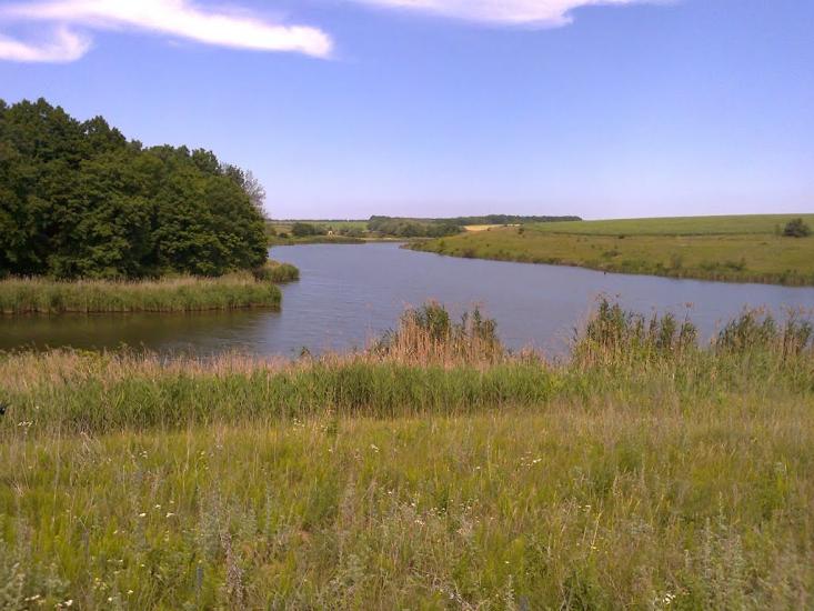 Писарівка з panoramio.com - Писарівка