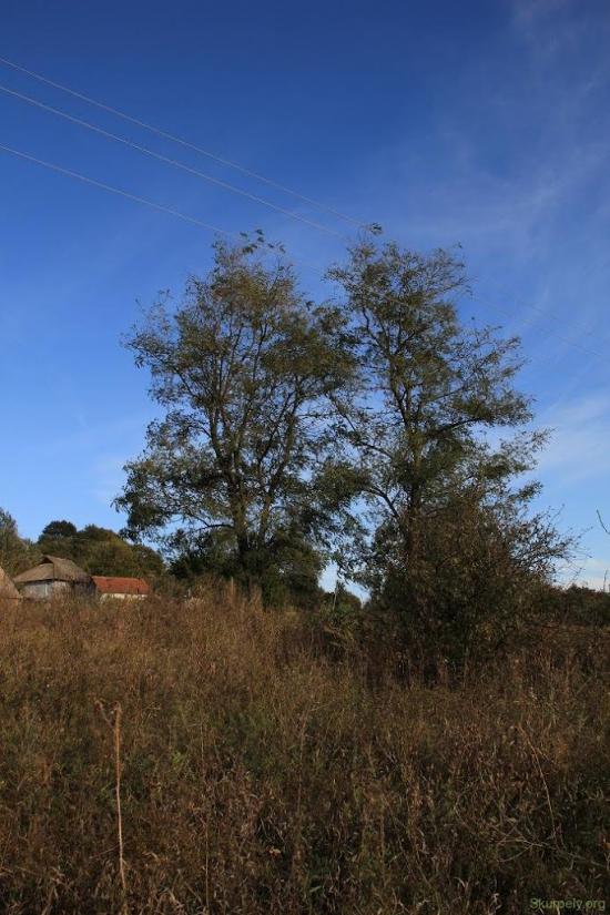 Шкурпели з panoramio.com - Шкурпели