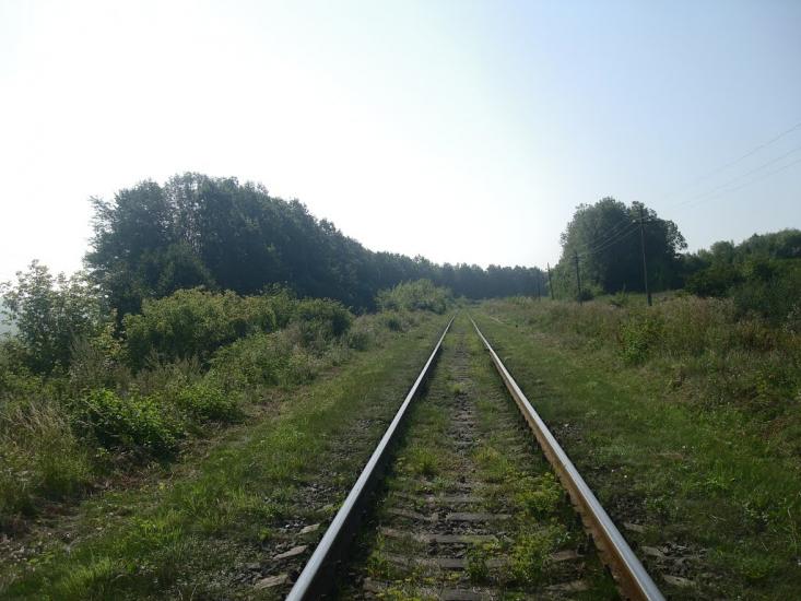 Панівці з panoramio.com - Panivtsi
