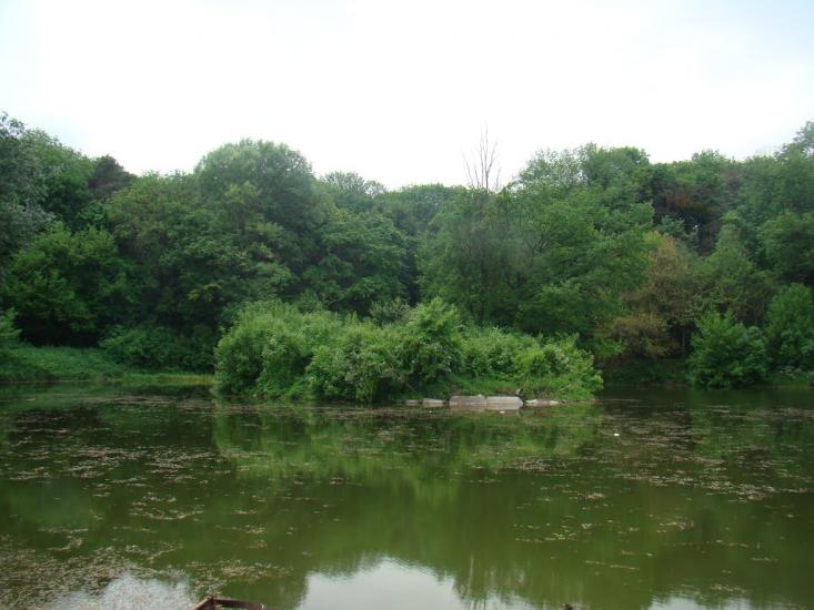 Кагарлик з panoramio.com - Кагарлик
