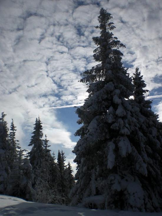 Сухий Потік з panoramio.com - Sukhyy Potik