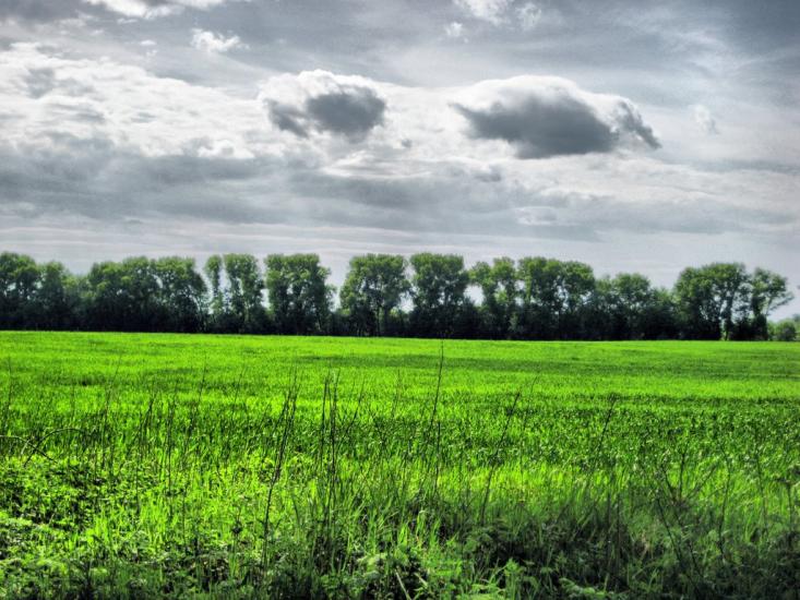 Волошинівка з panoramio.com - Волошинівка