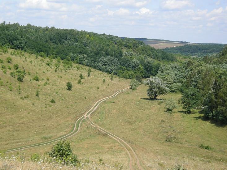 Кодима з panoramio.com - Кодима