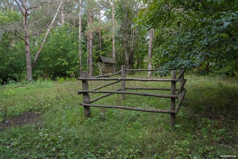 Ходорів з panoramio.com - Ходоров