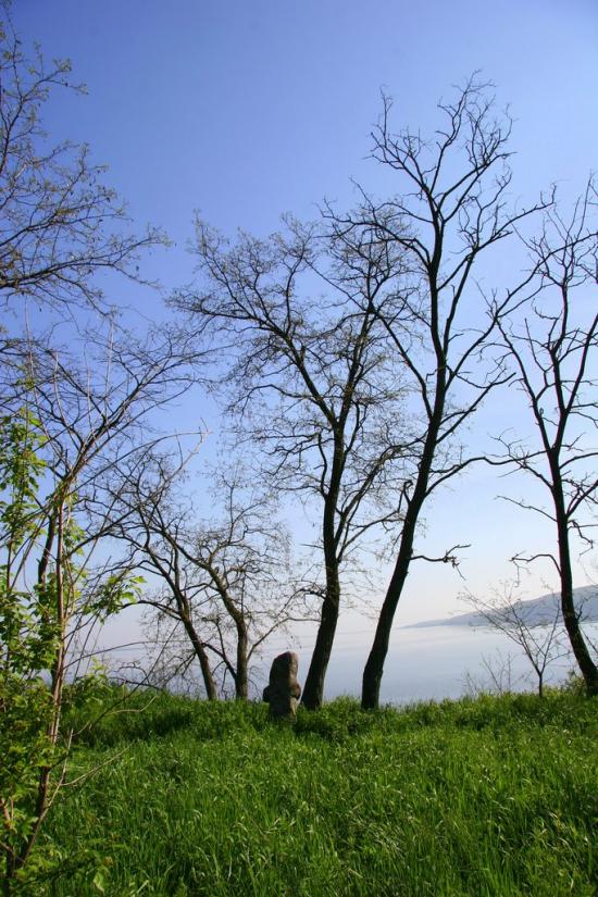 Ходорів з panoramio.com - Ходорів