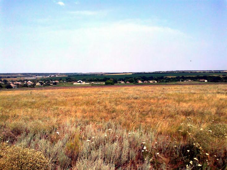 Новоганнівка з panoramio.com - Новоганновка