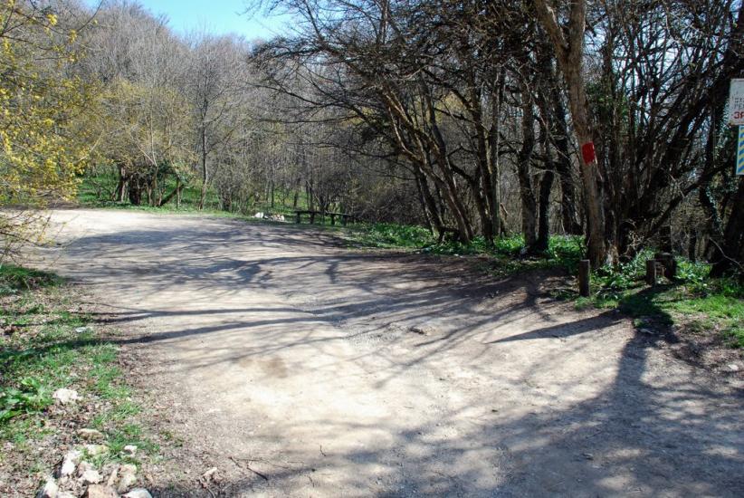 Багата Ущелина з panoramio.com - Bagata Uschelyna