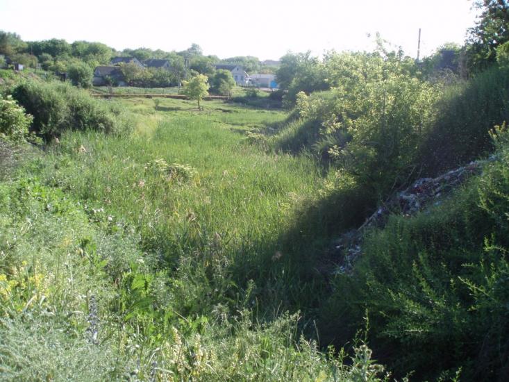 Софіївка з panoramio.com - Sofiyivka