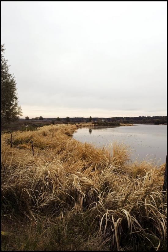 Глібівка з panoramio.com - Глебовка