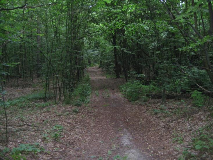 Старосілля з panoramio.com - Старосілля