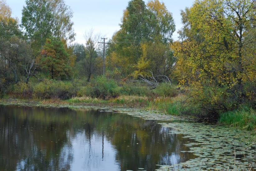 Остапівка з panoramio.com - Остапівка