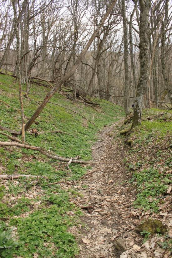 Громівка з panoramio.com - Громівка